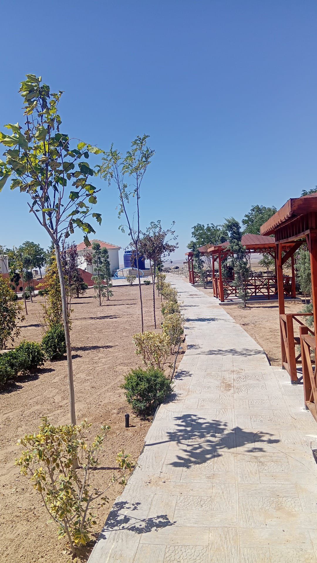 Çalışınca Oluyor
